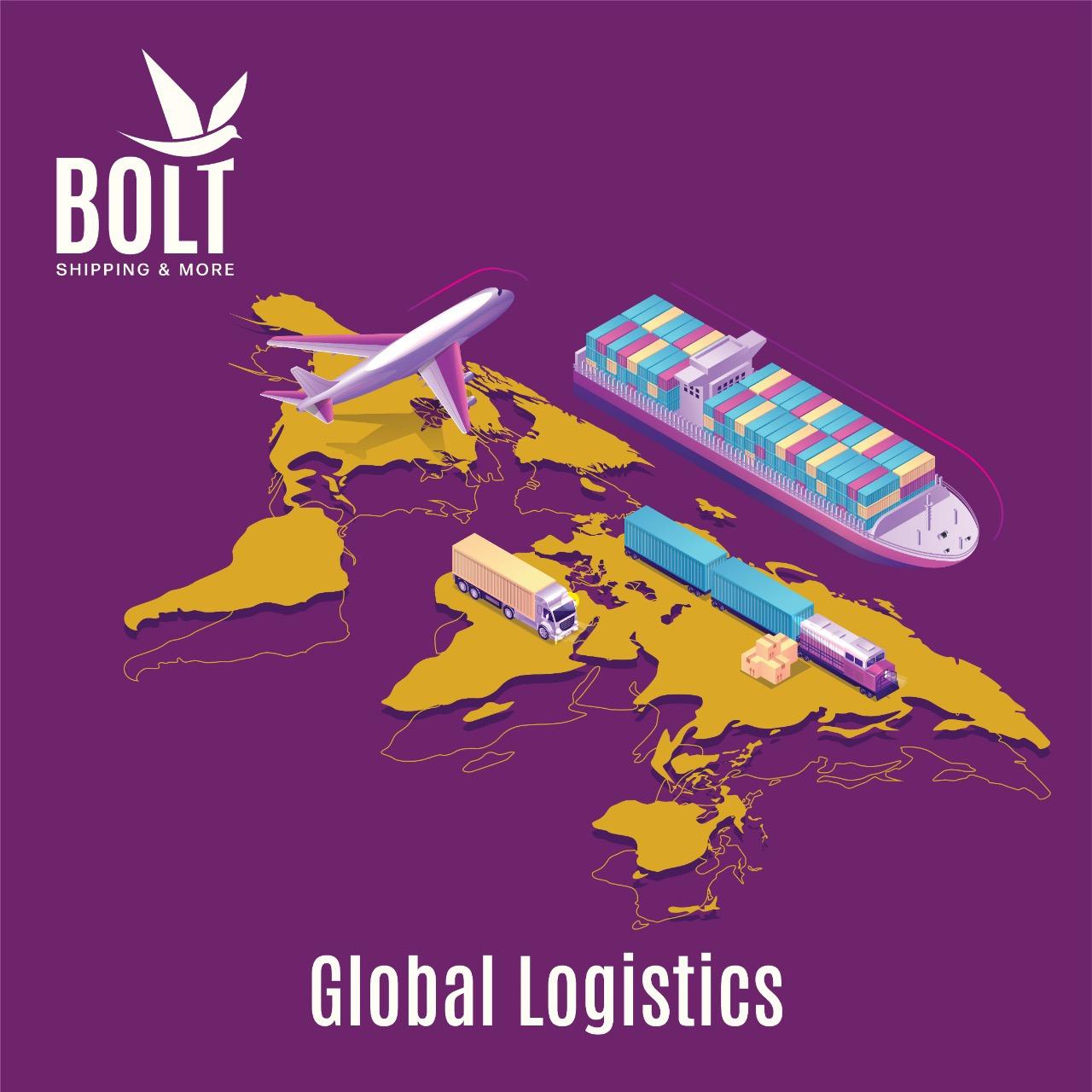 Professional Relocation Services for Egyptians Living Abroad