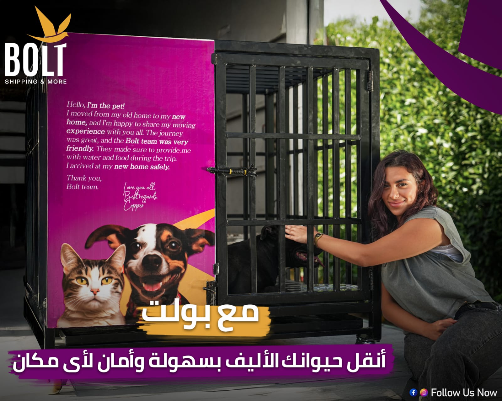 Bolt Mover – Safe & Professional Animal Transport Service in Egypt